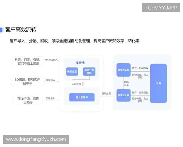 欧博管理网：提升企业运营效率的管理软件解决方案分析